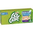 Go-GURT Berry Kids Fat Free Yogurt, Gluten Free, 2 oz. Yogurt Tubes (8 Count) Online