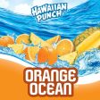 Hawaiian Punch Orange Ocean Juice, 1 Gal, Bottle For Sale