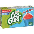 Go-Gurt Slushie Fizzy Black Raspberry and Cherry Low Fat Yogurt Style Snack Tubes 16 Ct Discount