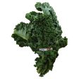 kale - McCarnety Hot on Sale