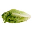 Romaine Lettuce Hot on Sale