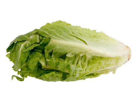 Romaine Lettuce Hot on Sale