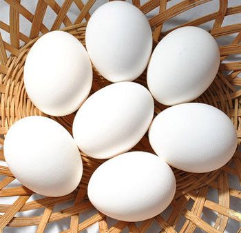 Farm Fresh Eggs (12 pcs) Online Hot Sale