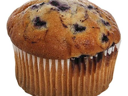 Otis Spunkmeyer Delicious Essentials Wild Blueberry Muffin, 4 Ounce Fashion