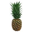 Pineapple - McCartney Online now