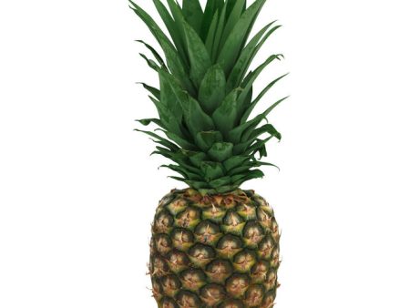 Pineapple - McCartney Online now