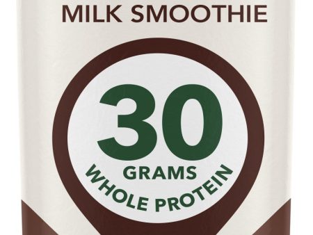 Rokeby  Protein Smoothie Dutch Chocolate 425ML For Discount