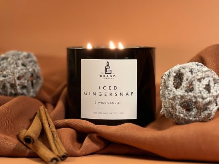 Iced Gingersnap Candle Hot on Sale