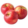 Apples, Honeycrisp For Sale