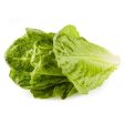 Fresh Romaine Lettuce, Each Cheap