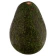 Avocado Supply