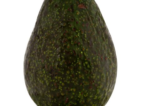 Avocado Supply