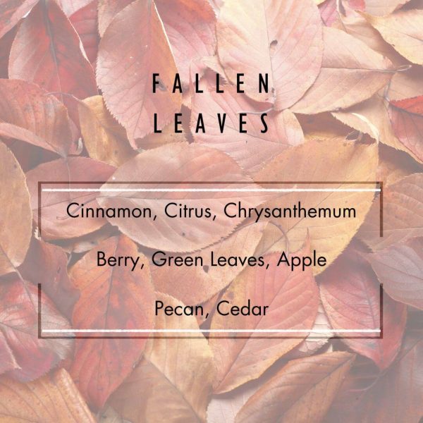 Fallen Leaves Wax Melt Sale