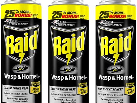 Raid Wasp and Hornet Killer 17.5 Ounce Can Discount