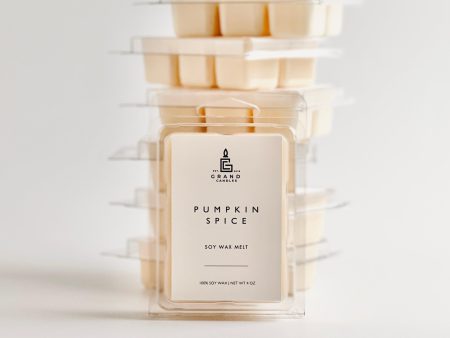 Pumpkin Spice Wax Melt Online Hot Sale