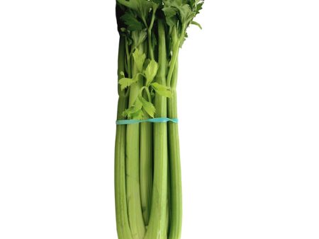 Celery on Sale