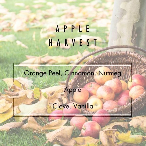 Apple Harvest Candle Online now