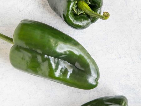 Poblano Peppers - McCartney Cheap