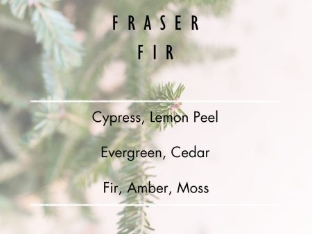 Fraser Fir Room & Linen Spray Online now