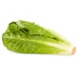 Fresh Romaine Lettuce, Each Cheap