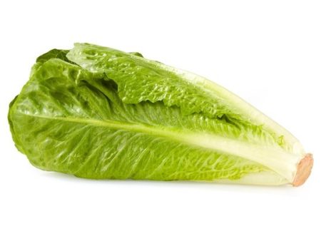 Fresh Romaine Lettuce, Each Cheap