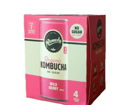 Wildberry Organic Kombucha 4-pack Online Sale