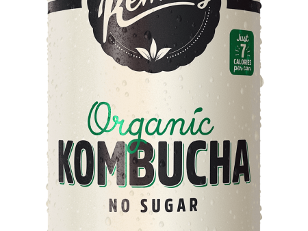 Lemon Lime Mint Kombucha 24s Online Sale