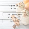 Pumpkin Spice Reed Diffuser on Sale