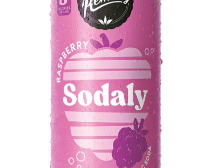 Remedy Prebiotic Raspberry Soda  250ml x4 Online Sale