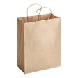 Choice Shopping Bag with Handles 10  x 5  x 13 - 250 Case - 1   1   250 ct ea Supply