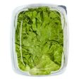 Green Giant Fresh Washed & Trimmed Green Leaf Lettuce, 7 oz For Sale