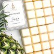 Pineapple Sage Soy Wax Melt Discount