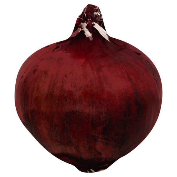 Onion (Red) Online now