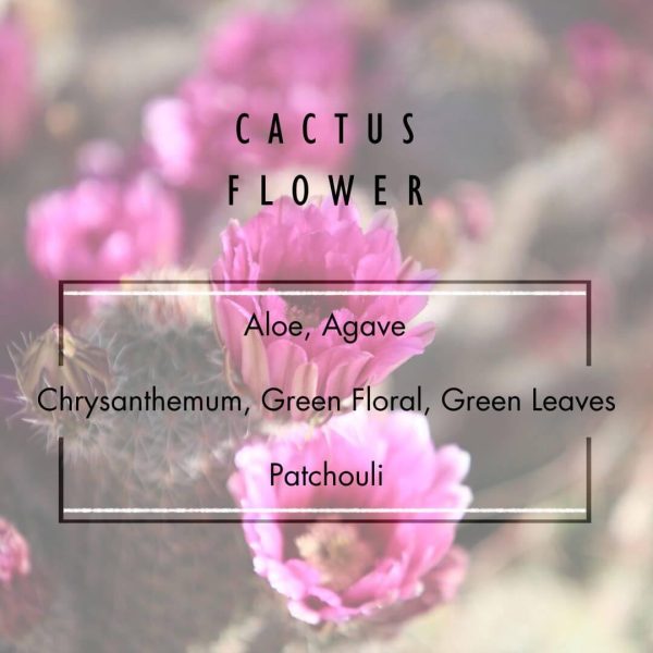 Cactus Flower Candle For Sale