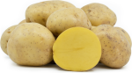 Potato (Yukon, size B) Online now