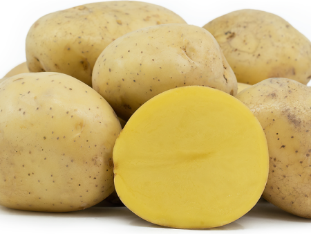 Potato (Yukon, size B) Online now