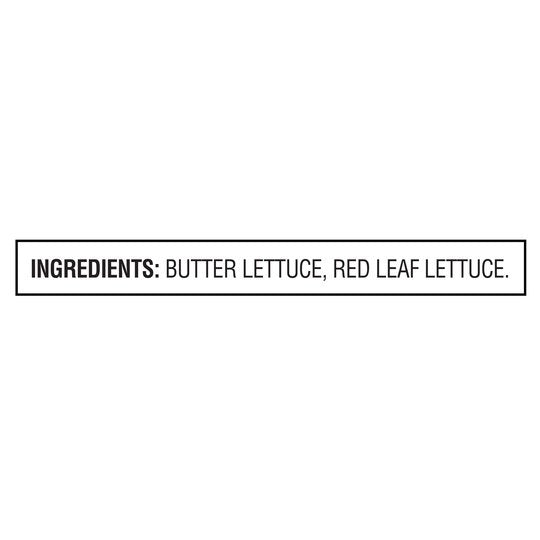 Marketside Butter Lettuce Salad Blend, 6 oz Bag, Fresh Fashion