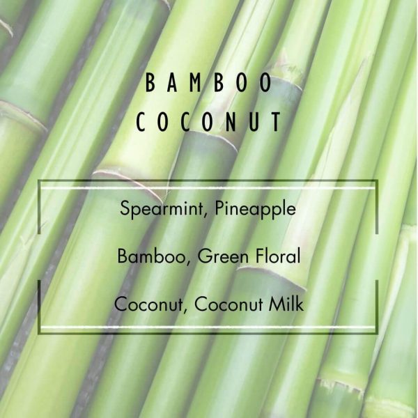 Bamboo Coconut Candle Online now