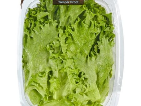 Green Giant Fresh Washed & Trimmed Green Leaf Lettuce, 7 oz For Sale