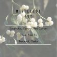 Mistletoe Ivy Room & Linen Spray Supply