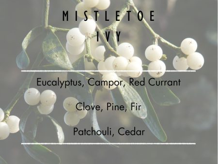 Mistletoe Ivy Room & Linen Spray Supply