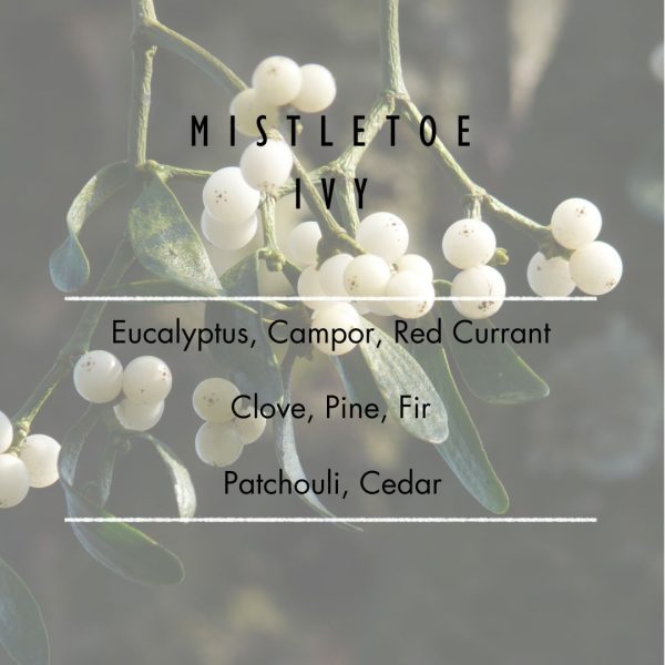 Mistletoe Ivy Room & Linen Spray Supply