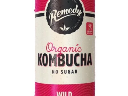 Wildberry Organic Kombucha 24 s Sale