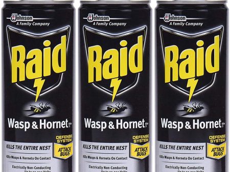 Raid Wasp Hornet Killer Spray Kills the entire nest 14 oz Can Online now