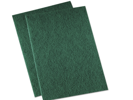 Lavex Green Scouring Pad 9  x 6  - 1   10   1 ct ea - S38955 For Discount