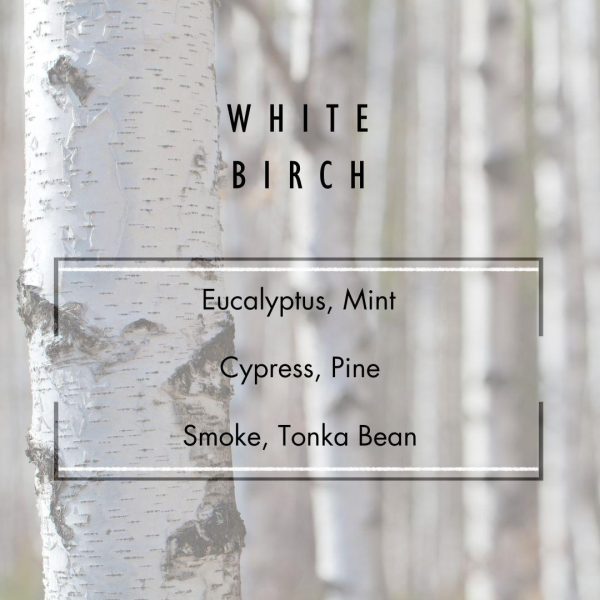 White Birch Reed Diffuser Online Sale